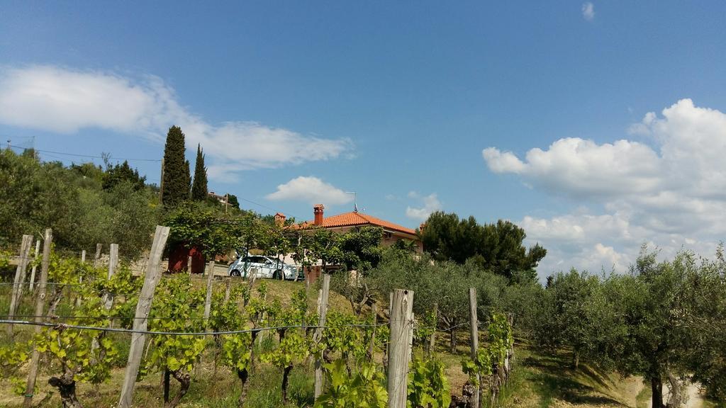 Mejak & Bordon Villa Sečovlje Dış mekan fotoğraf