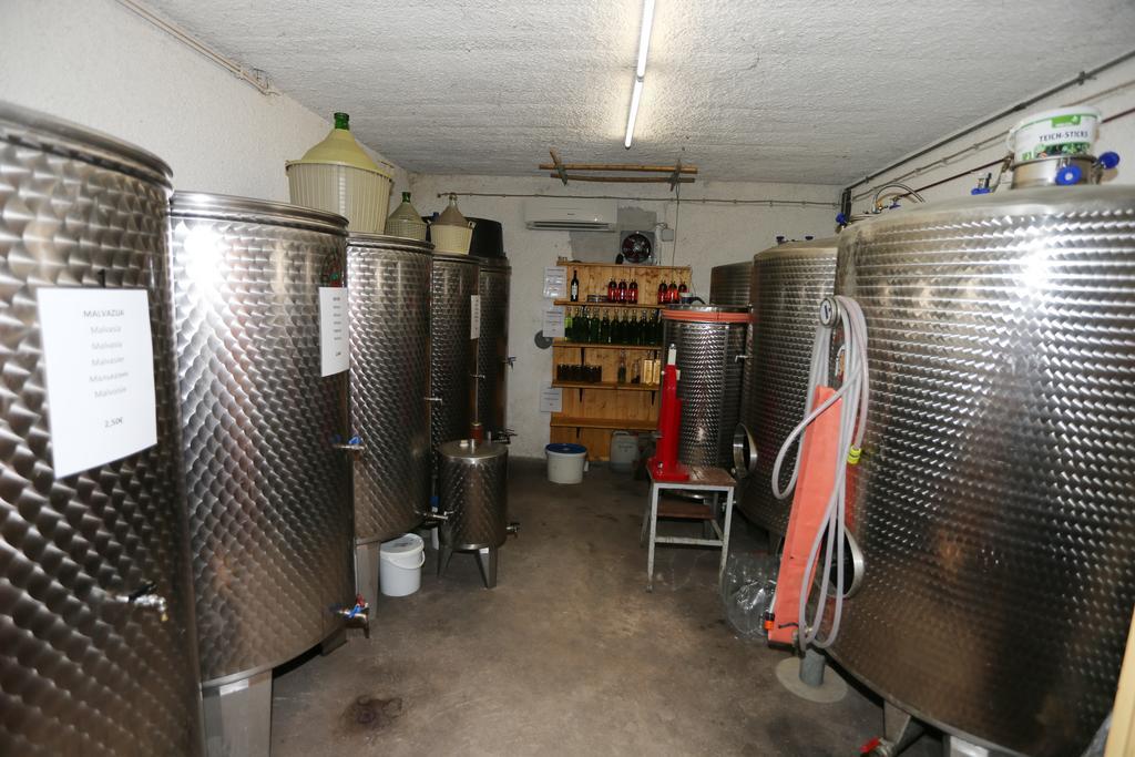 Mejak & Bordon Villa Sečovlje Dış mekan fotoğraf