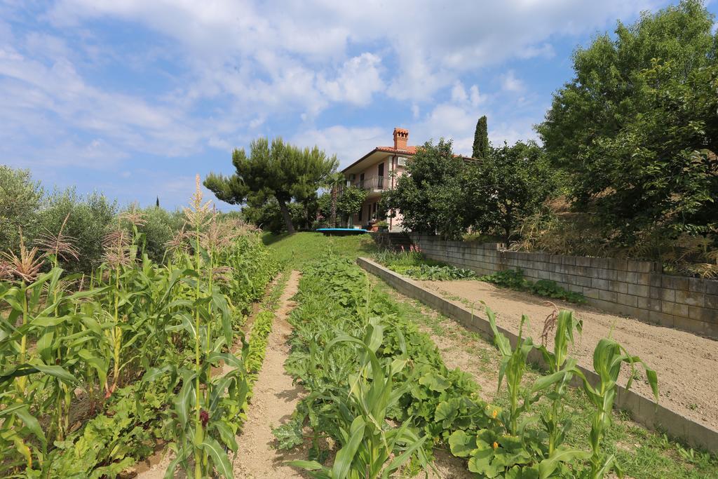 Mejak & Bordon Villa Sečovlje Dış mekan fotoğraf