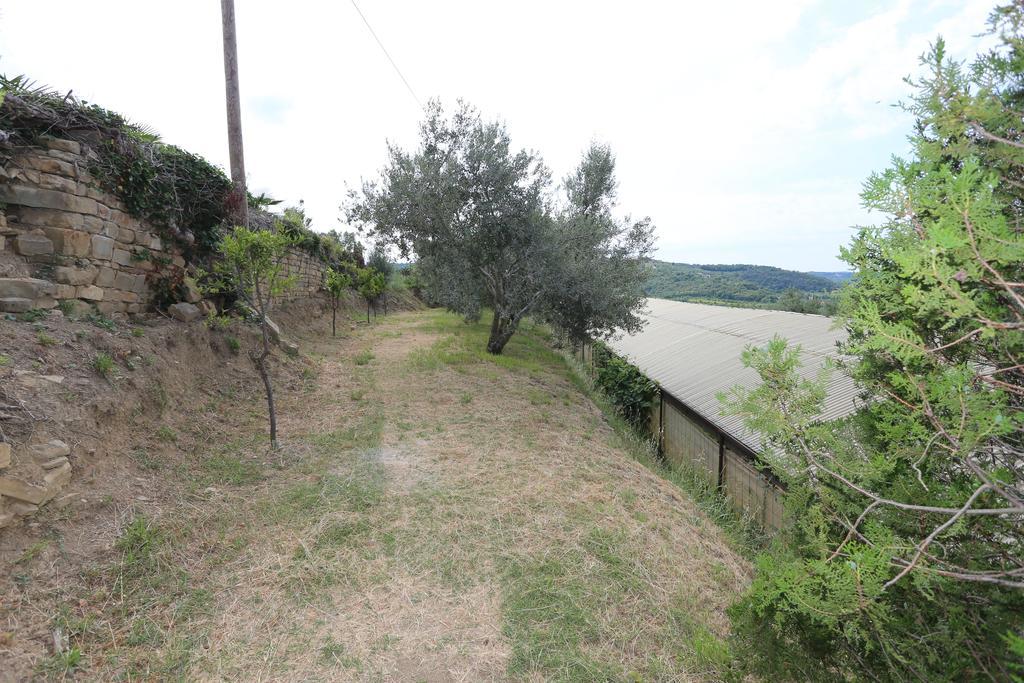Mejak & Bordon Villa Sečovlje Dış mekan fotoğraf